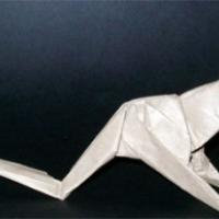 
<span>Kangaroo</span>
