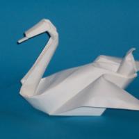 
<span>Swan</span>
