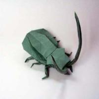 
<span>Long Horn Beetle</span>
