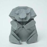 
<span>Koala</span>
