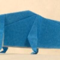 
<span>Icthyostega</span>
