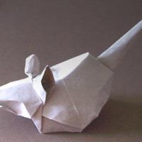 
<span>Mouse</span>
