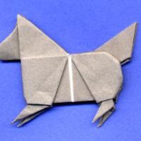 
<span>Husky Dog</span>
