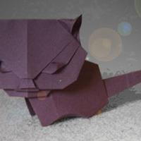 
<span>Kitten (2 piece)</span>
