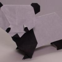 
<span>Giant Panda</span>
