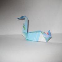 
<span>Swan</span>
