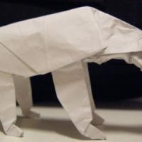 
<span>Oso Polar</span>
