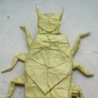 
<span>Tijereta giagante Australiana</span>
