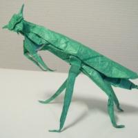 
<span>Mantis religiosa</span>
