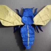
<span>Escolia</span>
