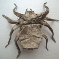 
<span>Arana tejedora</span>
