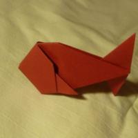 
<span>Pez</span>
