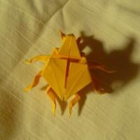 
<span>Escarabajo</span>
