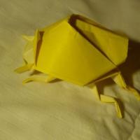 
<span>Escarabajo 2</span>
