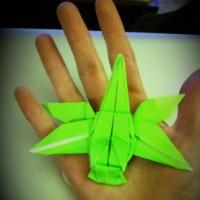 
<span>Dragonfly</span>
