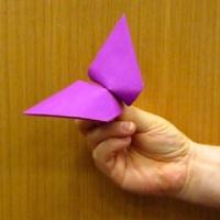 
<span>Flapping Butterfly</span>

