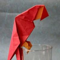 
<span>Scarlet Macaw</span>
