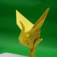 
<span>Crane (Standing)</span>

