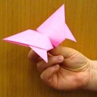 
<span>Intermediate Flapping Butterfly</span>
