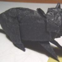 
<span>Mouse</span>
