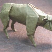 
<span>Bull</span>
