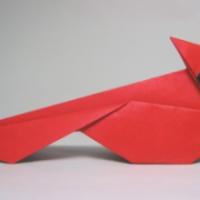 
<span>North American Cardinal</span>
