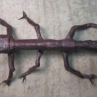 
<span>Stick Insect</span>

