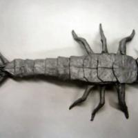 
<span>Silverfish</span>
