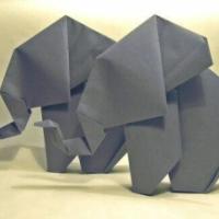 
<span>Elephant</span>
