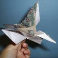 
<span>Bird - flapping</span>
