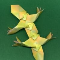 
<span>Lizard - action (12 p.)</span>
