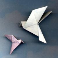 
<span>Peace dove</span>
