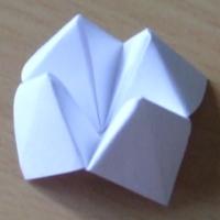 
<span>Fortune Teller</span>
