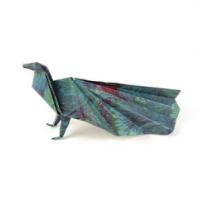 
<span>Peacock</span>
