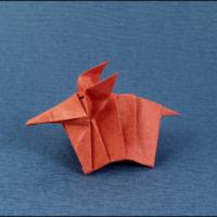 
<span>Armadillo</span>
