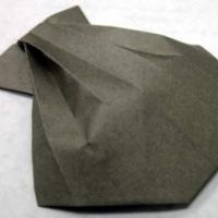 
<span>Clam</span>

