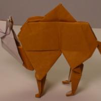 
<span>Dromedary</span>
