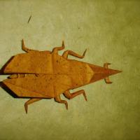 
<span>Weevil</span>
