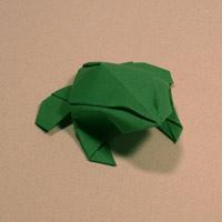 
<span>Toad</span>
