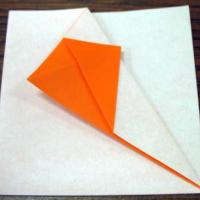 
<span>Kite</span>
