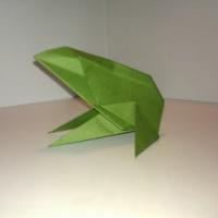 
<span>Frog</span>
