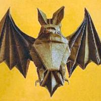 
<span>Bat (CP)</span>
