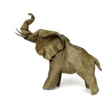 
<span>Elephant Revised</span>
