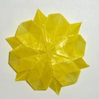 
<span>Flower</span>
