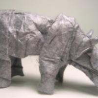 
<span>Baby Rhinoceros</span>
