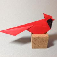 
<span>North American Cardinal</span>
