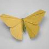 
<span>Origamido Butterfly</span>
