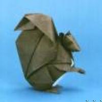 
<span>Squirrel</span>
