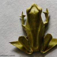 
<span>Frog</span>
