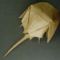 
<span>Horseshoe Crab</span>
